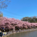 実際訪問したユーザーが直接撮影して投稿した南下浦町上宮田公園小松ケ池公園の写真