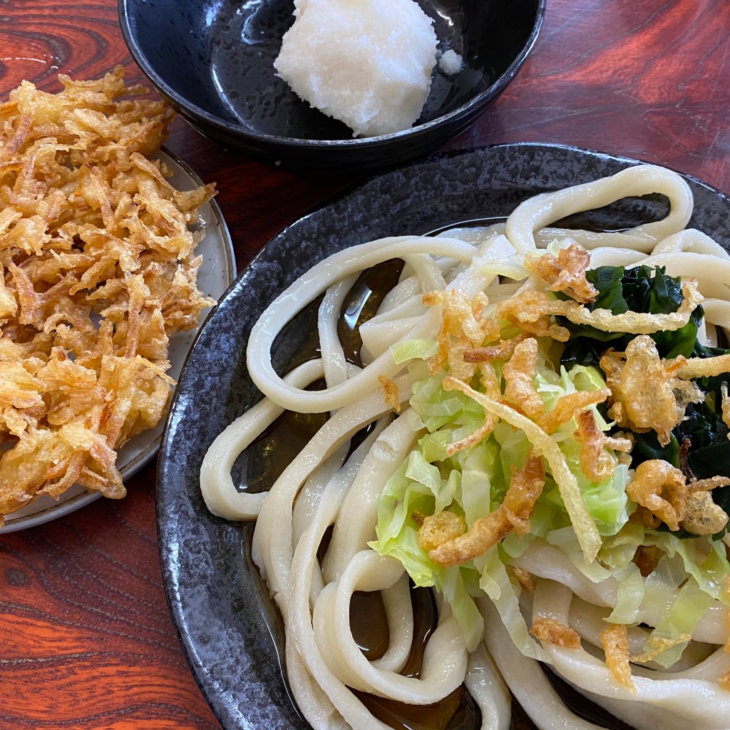 ユーザーが投稿した冷やしうどん+辛味だいこん+野菜天ぷらの写真 - 実際訪問したユーザーが直接撮影して投稿した上吉田うどん手打ちうどん ムサシの写真