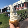 バニラソフト - 実際訪問したユーザーが直接撮影して投稿した中野町アイスクリーム函館牛乳 あいす118の写真のメニュー情報