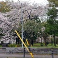 実際訪問したユーザーが直接撮影して投稿した平手町公園志賀公園の写真