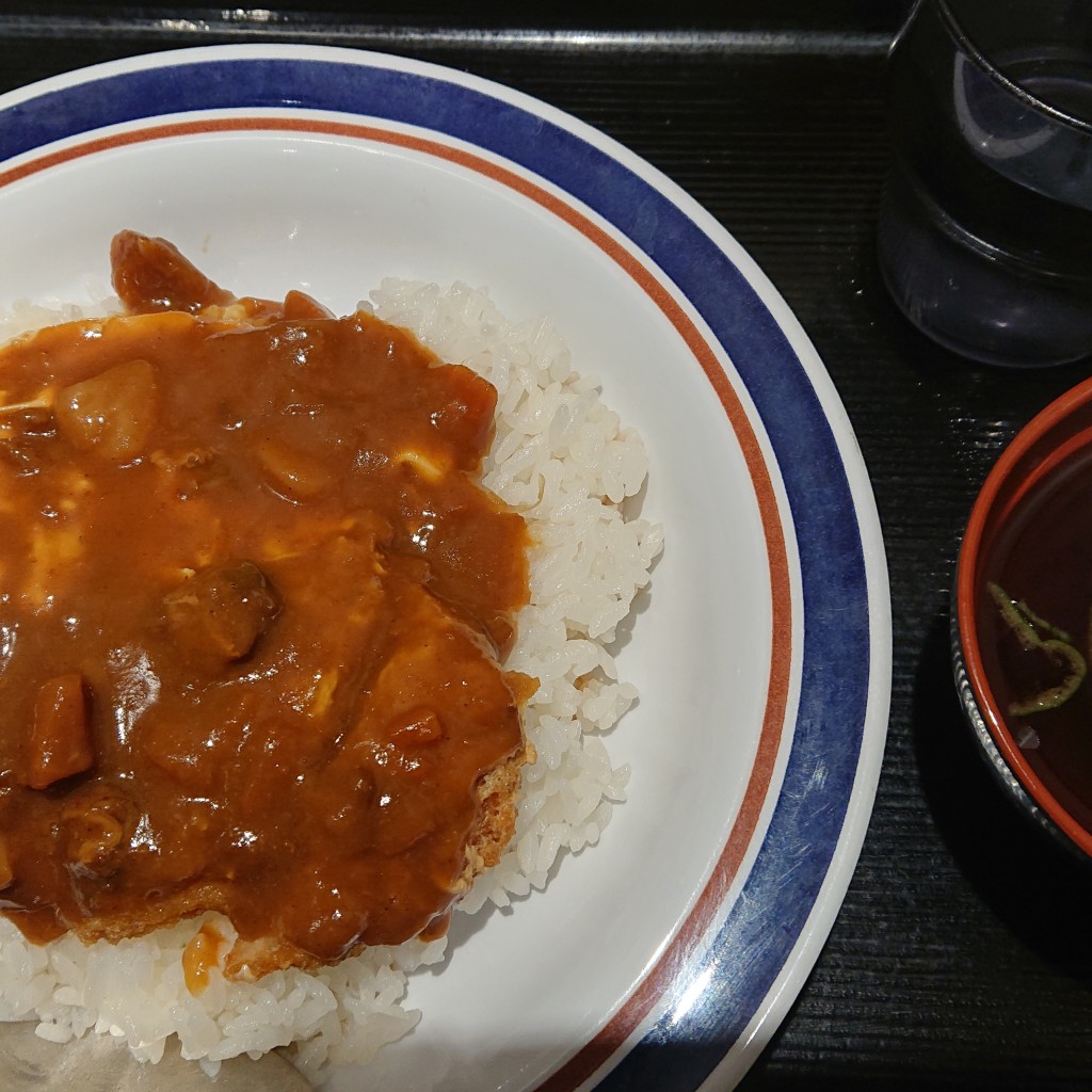 ユーザーが投稿したカレーかつ丼の写真 - 実際訪問したユーザーが直接撮影して投稿した自由が丘そば名代 富士そば 自由が丘店の写真