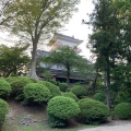 実際訪問したユーザーが直接撮影して投稿した千秋公園公園千秋公園の写真