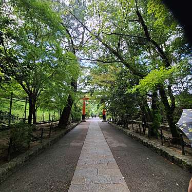 実際訪問したユーザーが直接撮影して投稿した宇治神社宇治上神社の写真