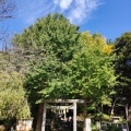 実際訪問したユーザーが直接撮影して投稿した梶原神社葛原岡神社の写真