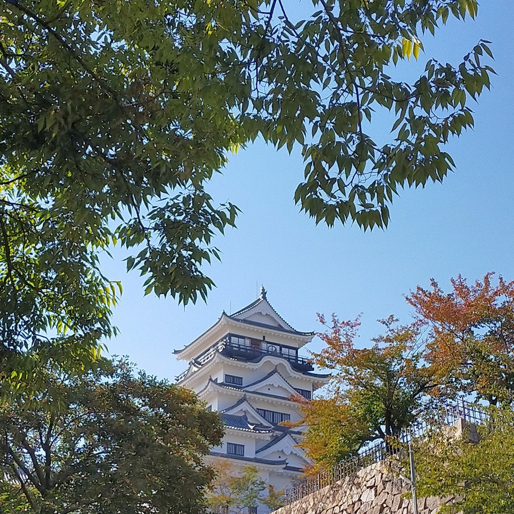 YST10さんが投稿した丸之内城 / 城跡のお店福山城/フクヤマジョウの写真