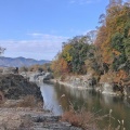 実際訪問したユーザーが直接撮影して投稿した長瀞自然名所長瀞岩畳の写真