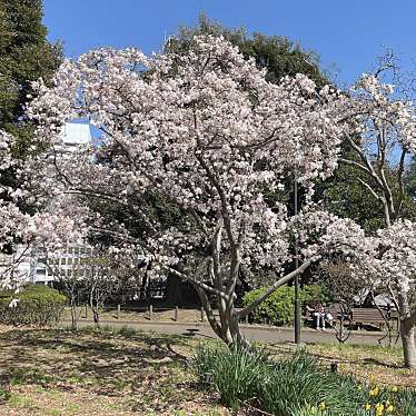 北の丸公園のundefinedに実際訪問訪問したユーザーunknownさんが新しく投稿した新着口コミの写真