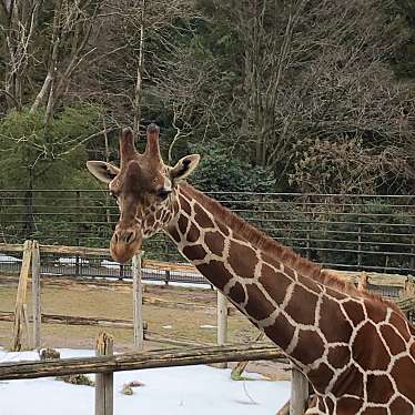 実際訪問したユーザーが直接撮影して投稿した古沢動物園富山市ファミリーパークの写真