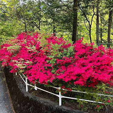 通洞鉱山神社のundefinedに実際訪問訪問したユーザーunknownさんが新しく投稿した新着口コミの写真