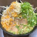 実際訪問したユーザーが直接撮影して投稿した北鶉ラーメン / つけ麺男は黙って前を行けの写真