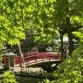 実際訪問したユーザーが直接撮影して投稿した村松寺油山寺の写真