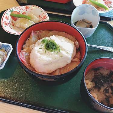 実際訪問したユーザーが直接撮影して投稿した仙石原和食 / 日本料理高原茶寮 福風の写真