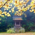 実際訪問したユーザーが直接撮影して投稿した百済寺町寺百済寺の写真