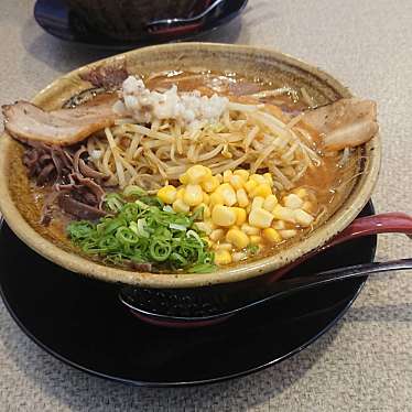 実際訪問したユーザーが直接撮影して投稿した生石ラーメン / つけ麺味噌の達人の写真