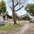 実際訪問したユーザーが直接撮影して投稿した枇杷島神社八幡社の写真