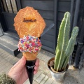 実際訪問したユーザーが直接撮影して投稿したいぶき野スイーツIQUECO gelato&sconeの写真