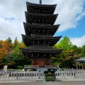 実際訪問したユーザーが直接撮影して投稿した芋沢居酒屋定義山の写真