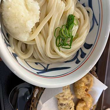 実際訪問したユーザーが直接撮影して投稿した新川うどん讃岐うどん なかじょうの写真