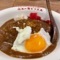 実際訪問したユーザーが直接撮影して投稿した銀座カレーコーヒーとカライライスの店 ニューキャッスルの写真