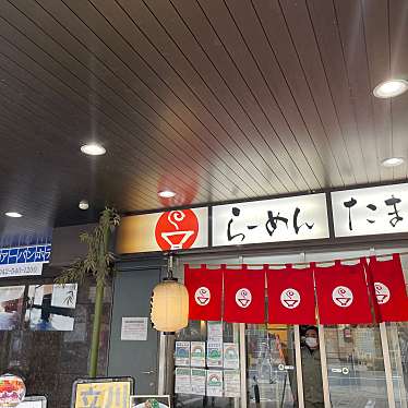 DaiKawaiさんが投稿した錦町ラーメン / つけ麺のお店麺処 井の庄 立川/めんどころ いのしょうの写真