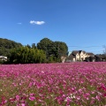 実際訪問したユーザーが直接撮影して投稿した国分博物館水城館の写真