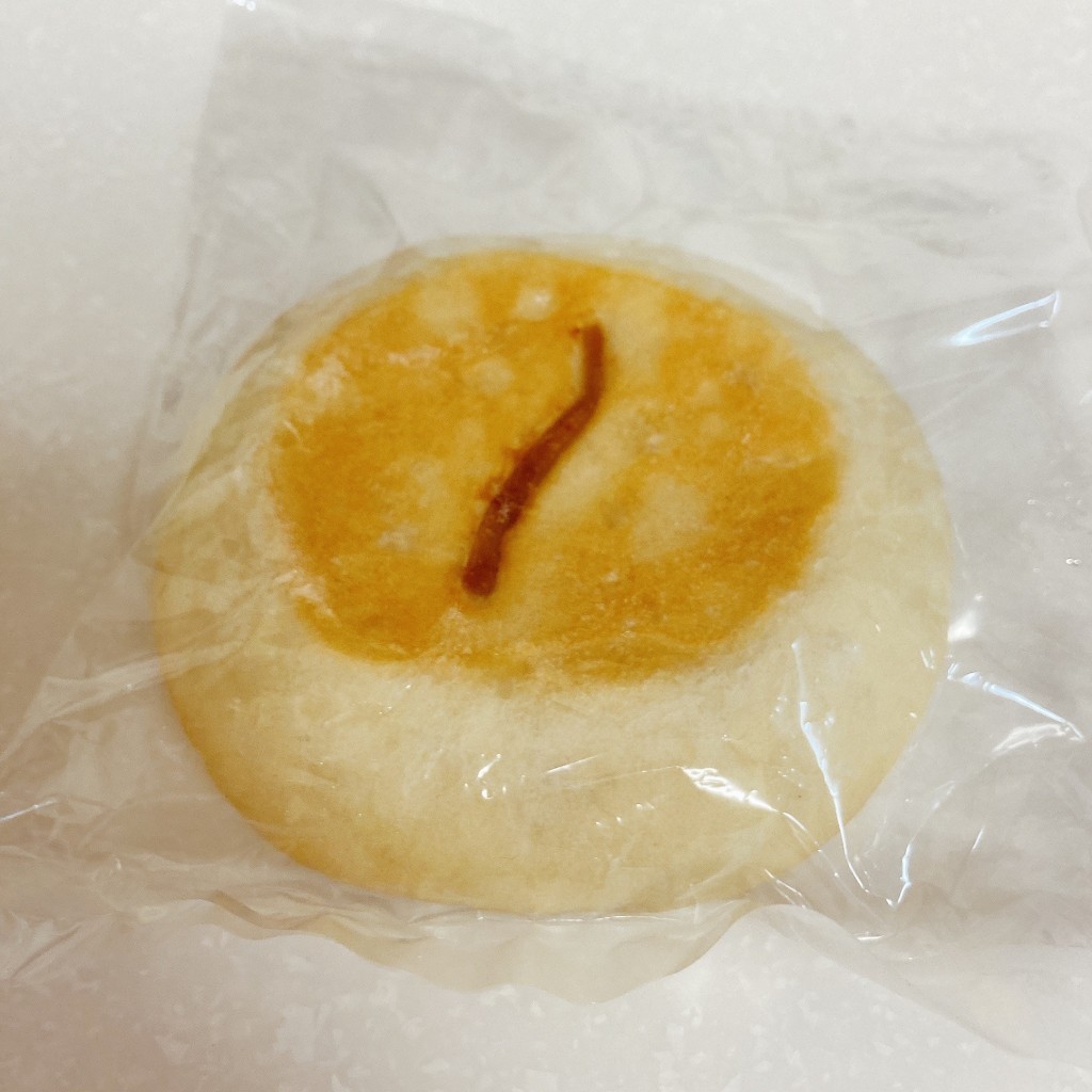 ユーザーが投稿したごぼうのおやきの写真 - 実際訪問したユーザーが直接撮影して投稿した小座ベーカリーパン・パパンの写真