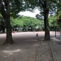 実際訪問したユーザーが直接撮影して投稿した橋本神社神明大神宮の写真