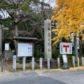 実際訪問したユーザーが直接撮影して投稿した春日町神社春日神社の写真