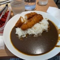 実際訪問したユーザーが直接撮影して投稿した安土町カレー辛来飯の写真