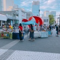 実際訪問したユーザーが直接撮影して投稿した日進町公園ルフロン公園(川崎駅東口緑地)の写真