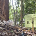 実際訪問したユーザーが直接撮影して投稿した三輪神社大神神社の写真