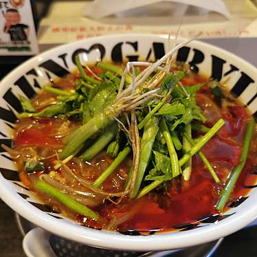 実際訪問したユーザーが直接撮影して投稿した若林ラーメン / つけ麺拉麺勇気の写真