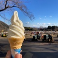実際訪問したユーザーが直接撮影して投稿した半原アイスクリーム服部牧場アイスクリーム工房 「カサリンガ」の写真