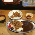 実際訪問したユーザーが直接撮影して投稿した西糀谷丼もの丼やたつみの写真