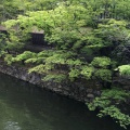 実際訪問したユーザーが直接撮影して投稿した河川倉敷川の写真