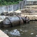 実際訪問したユーザーが直接撮影して投稿した程久保動物園多摩動物公園の写真