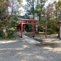 実際訪問したユーザーが直接撮影して投稿した高鼻町神社天津神社の写真