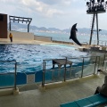 実際訪問したユーザーが直接撮影して投稿したあるかぽーと水族館 / アクアリウム市立しものせき水族館 海響館の写真