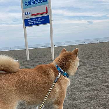 実際訪問したユーザーが直接撮影して投稿した大磯海水浴場 / 海浜大磯海水浴場の写真