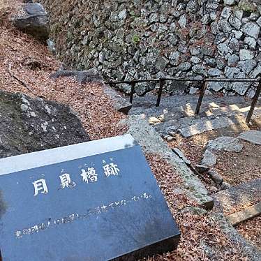 いねむりアヒルさんが投稿した篠山町歴史 / 遺跡のお店久留米城 月見櫓跡/クルメジョウ ツキミヤグラアトの写真