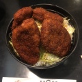 ソース丼 - 実際訪問したユーザーが直接撮影して投稿した赤穂丼ものガロの写真のメニュー情報