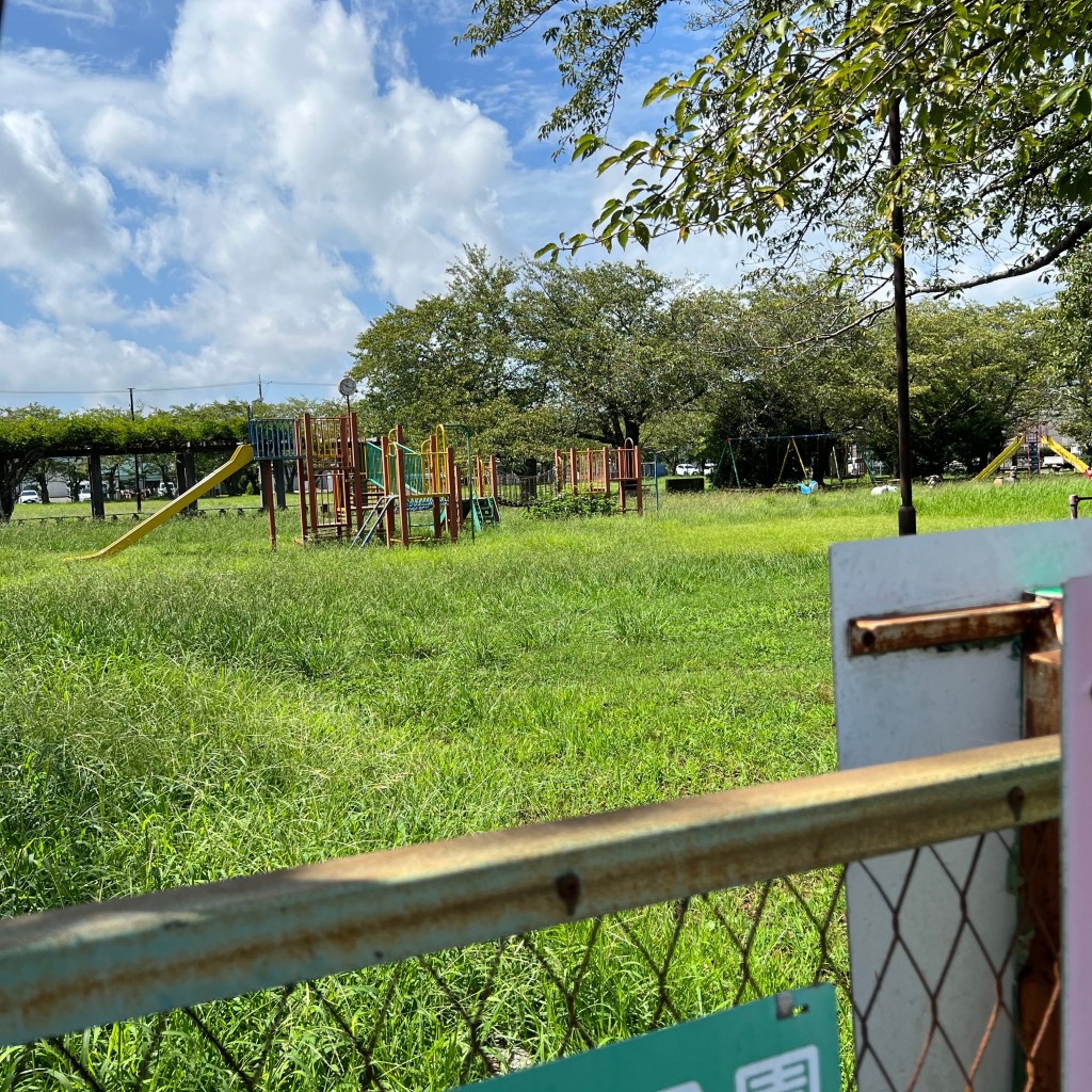 実際訪問したユーザーが直接撮影して投稿した東森岡公園三本松公園の写真