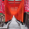 実際訪問したユーザーが直接撮影して投稿した永田町神社山王稲荷神社の写真