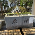 実際訪問したユーザーが直接撮影して投稿した青戸神社青砥神社の写真