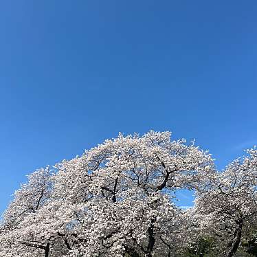 新宿御苑のundefinedに実際訪問訪問したユーザーunknownさんが新しく投稿した新着口コミの写真