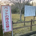 実際訪問したユーザーが直接撮影して投稿した久末公園久末総合公園 みずがめの郷の写真