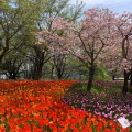 実際訪問したユーザーが直接撮影して投稿した堀金烏川公園国営アルプスあづみの公園 堀金・穂高地区の写真