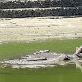 実際訪問したユーザーが直接撮影して投稿した高師公園茂原公園の写真