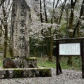 実際訪問したユーザーが直接撮影して投稿した御山町公園悠久山公園の写真