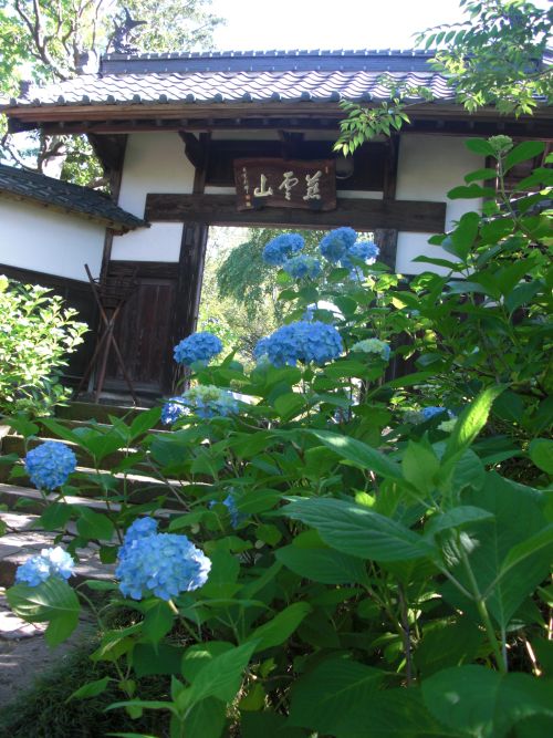 実際訪問したユーザーが直接撮影して投稿した北山寺資福寺の写真